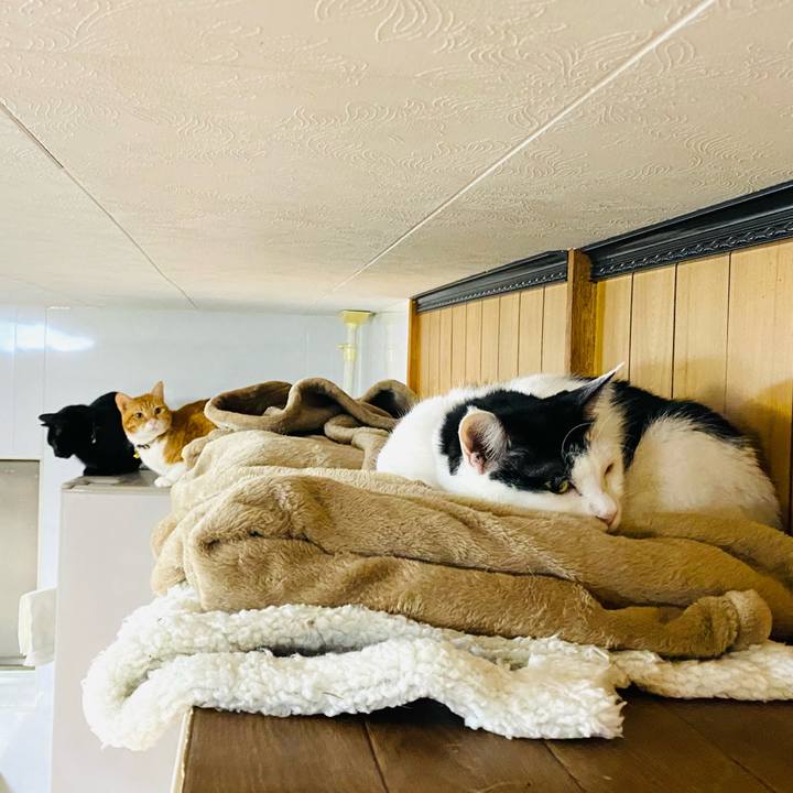 45b9c34f 84ed 4883 aea1 4e26d43ebcb7 1675293615823