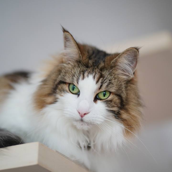 45ba0851 0e73 4b10 973b 1956c224a95d 1686454942075