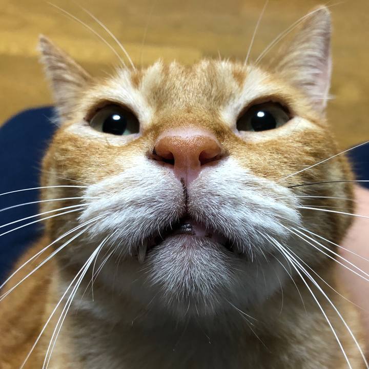 45ba402c b9bf 406f a131 f28254d51d0a 1717237292092