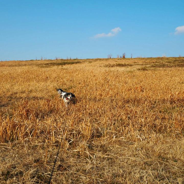 45ba5c9b b51e 4380 9150 be20d2842473 1516433492824