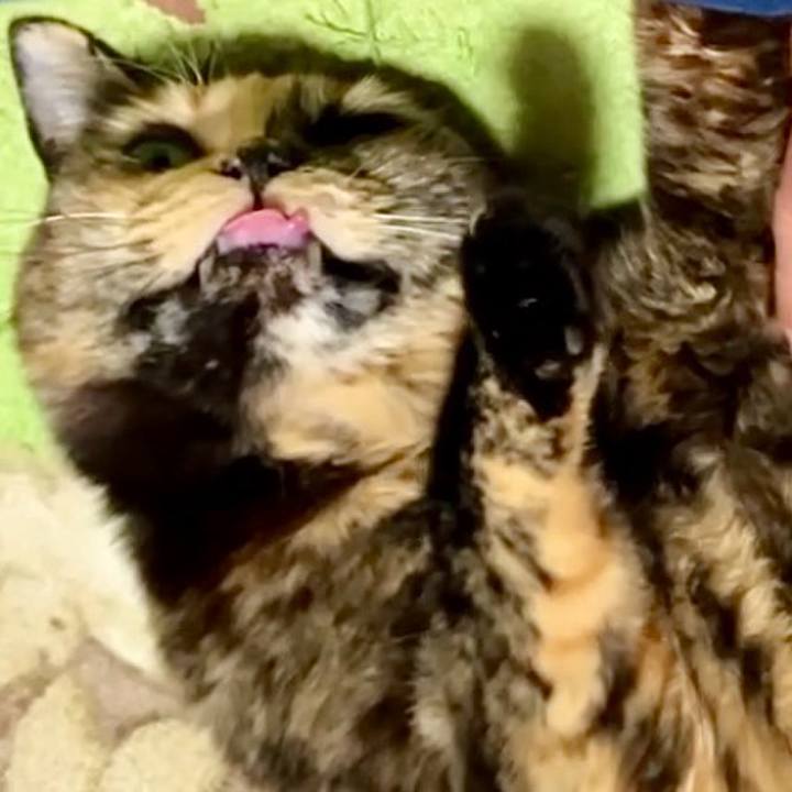 45ba9135 9da9 4dde 8286 983344825275 1737029025814