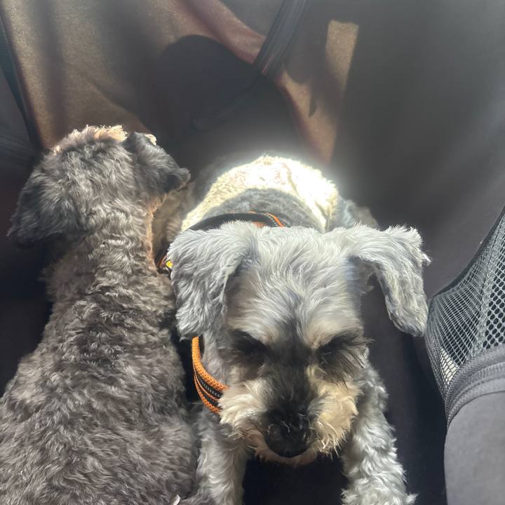 45bafffe 52f8 4c51 a734 c1e10ffd2fff 1746926578500