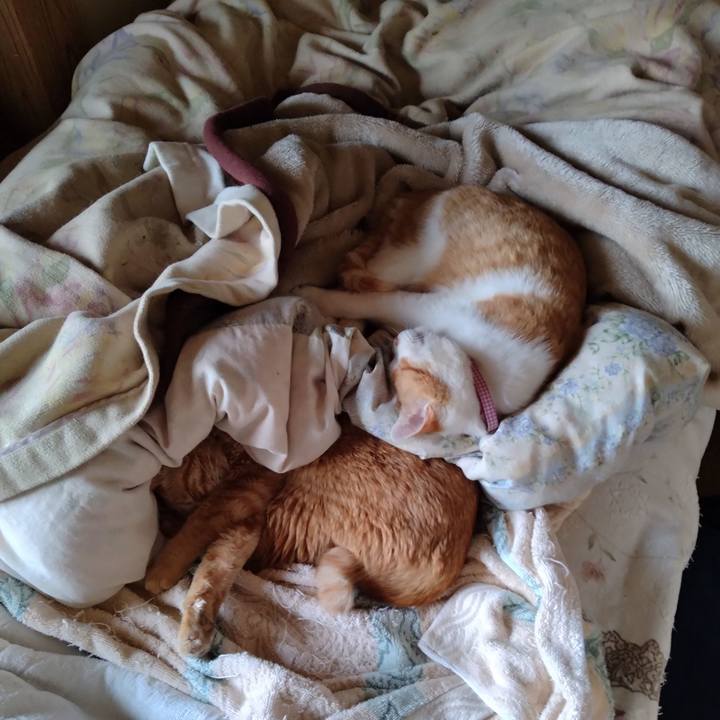 45bb3744 8bcf 4fee aead 8c9282cb1b54 1745712536453