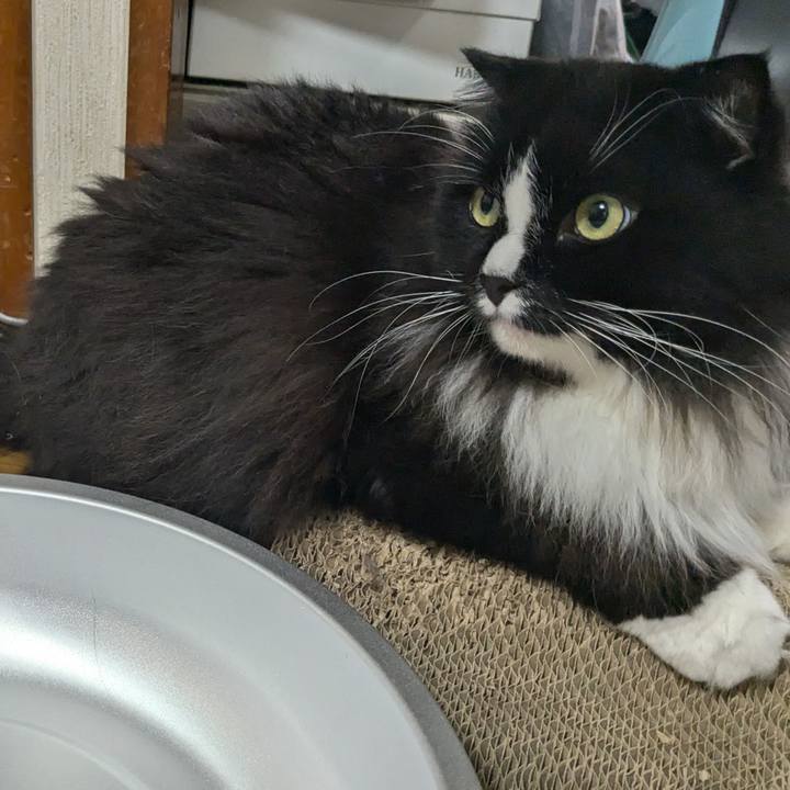 45bb54ad fb33 4b50 975c 8c4952599492 1721566674172