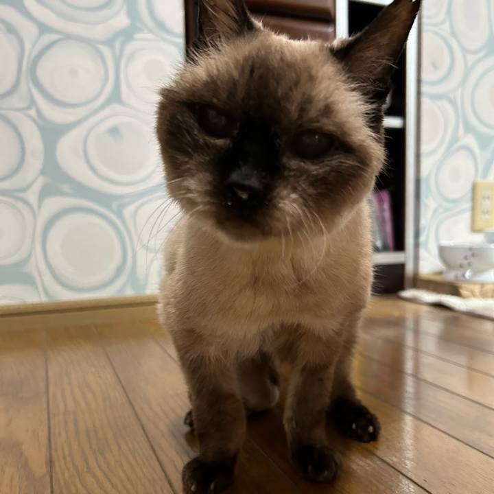 45bb9c9f c37e 4354 9900 0c04d7eea1ab 1714779887462