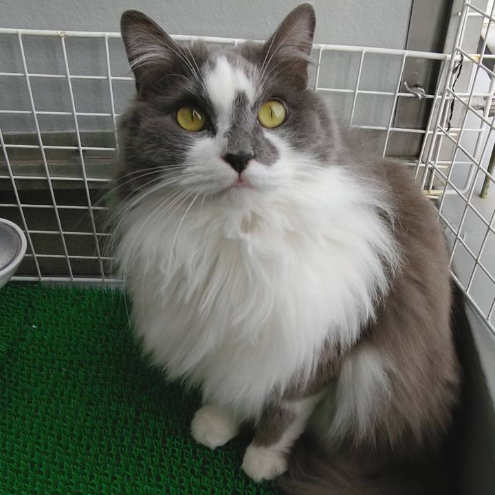 45bbbb0e 74f4 4524 9e8b 788c126e4097 1620544584904