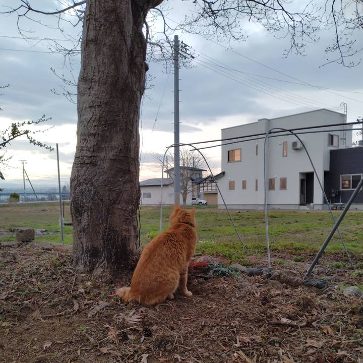 45bbfddf 7772 40f3 b62c 80b16865dacf 1680822365630