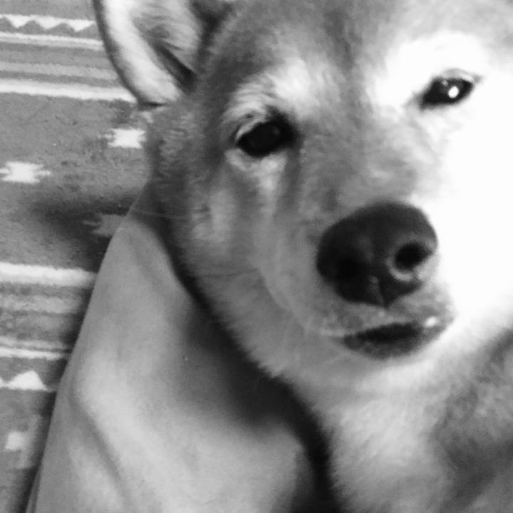 45bc0bf4 30d4 4848 82a4 4fc0657d905b 1563369727225