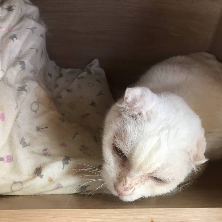 45bc15b0 3b4f 40fb a749 cf4c812b30bd 1569542321434