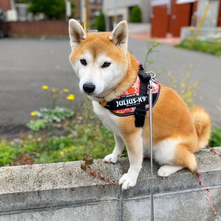 45bc1735 1245 4e9a bf48 a22fb07b0470 1633397175822