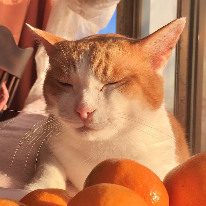 45bca6a7 05fd 4ef4 9f58 7e93c5ff684c 1574840917472