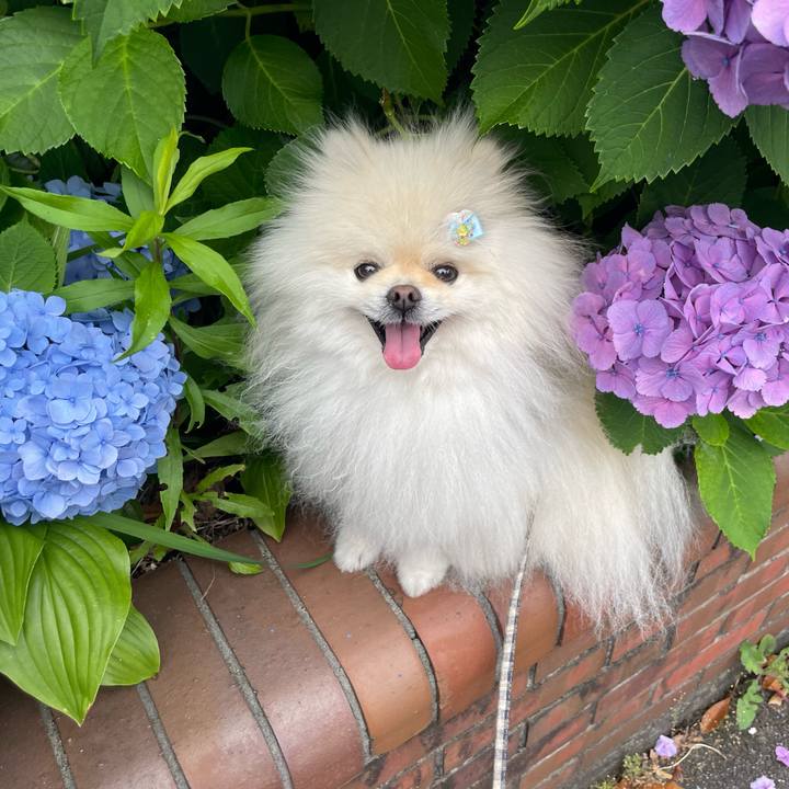 45bca6ca 1cec 4fc6 b0e4 07614503b240 1655424801348