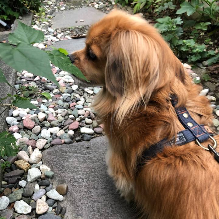 45bcb209 b3cf 4fe6 a164 8d8dff40da9b 1571265604004