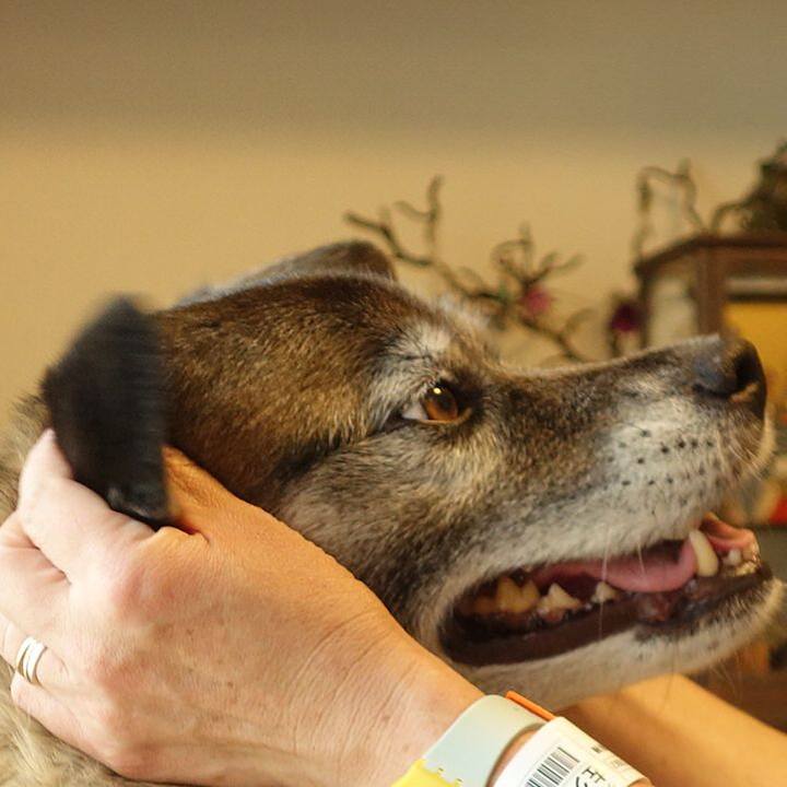 45bcd0ba c9b9 4210 9a10 c988f0610459 1526452664181