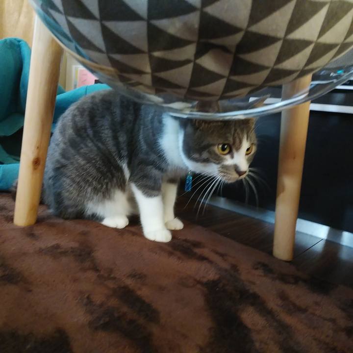 45bce70d 746f 4faf 819e f16df1013dbc 1580596431650