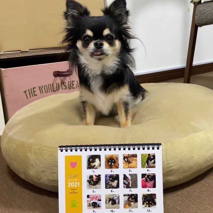 45bcef60 00c1 472a b18a a02373ec8717 1605872729042