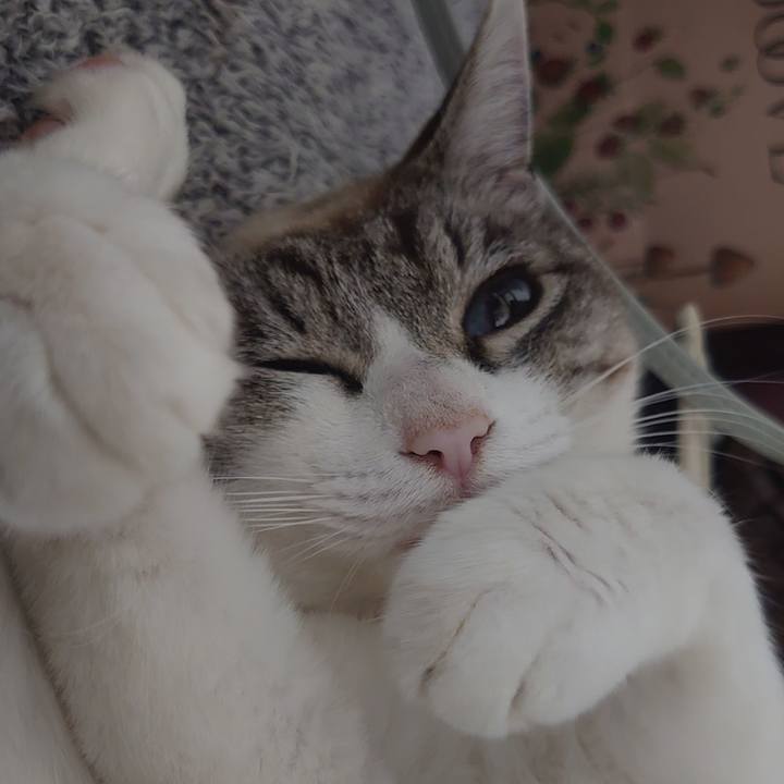 45bcf0a0 42b1 4817 a0a4 c028389ef4fc 1683295304077