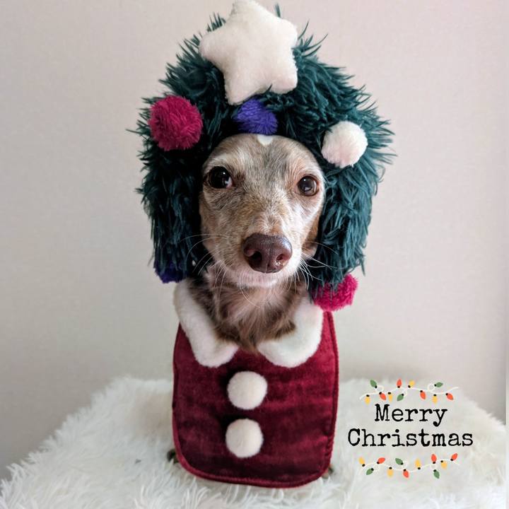 45bcf753 8d92 4a83 b9ea da3e03eb9dea 1766532858109