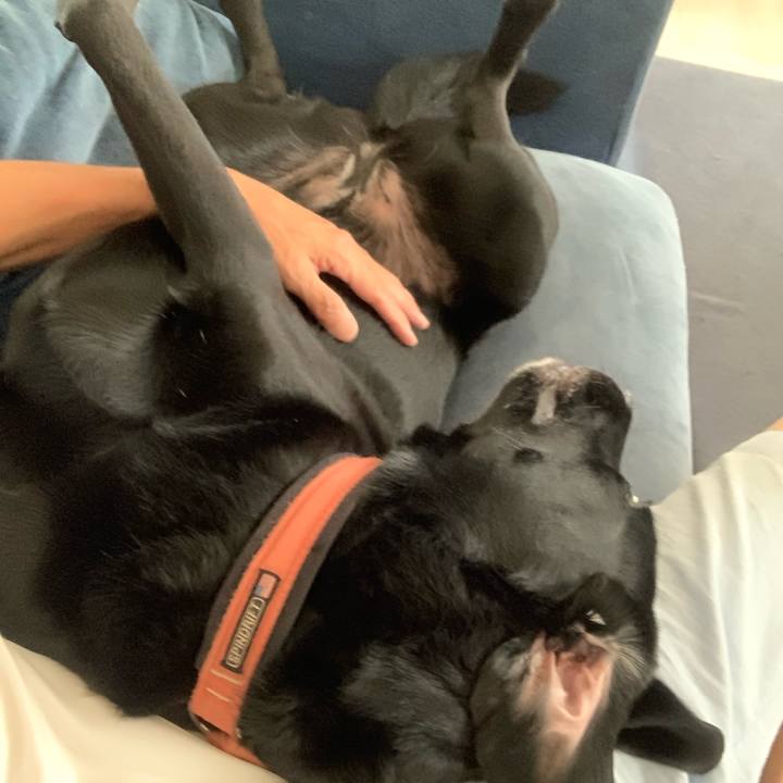 45bd089c 4fe4 48f3 a72c c9701fd8cf6d 1663388031283