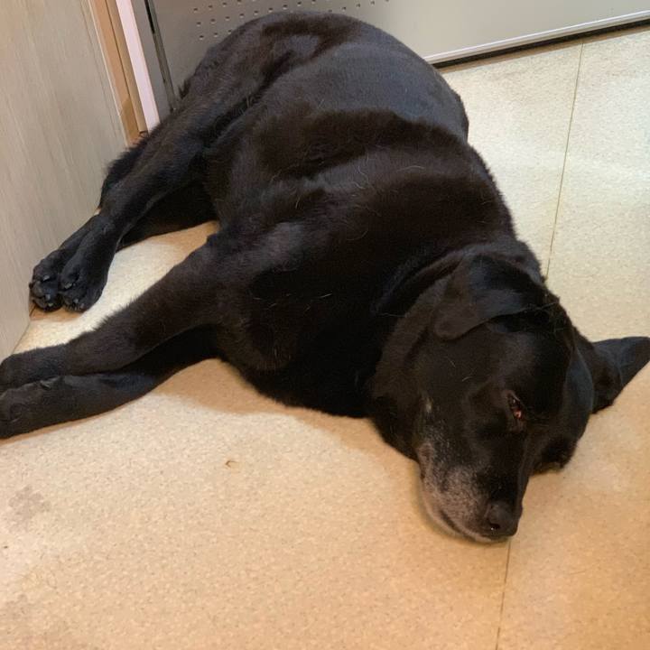 45bd1018 0c62 4e4a 8f7f 51145399e6fa 1565154233843