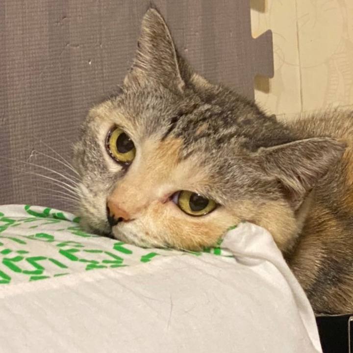 45bd1ad5 092c 4742 9252 a9e01ad59c76 1627922971591