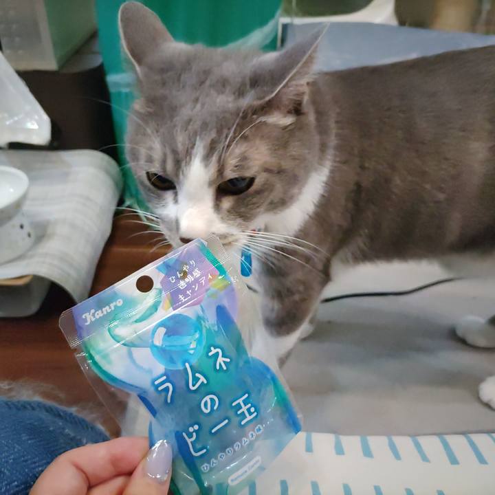 45bd65ab 9020 4255 a941 90c23833df7d 1689289672116