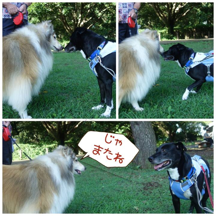 45bdab24 a0bb 4bcc 83ee 4384d324a68a 1692229940545