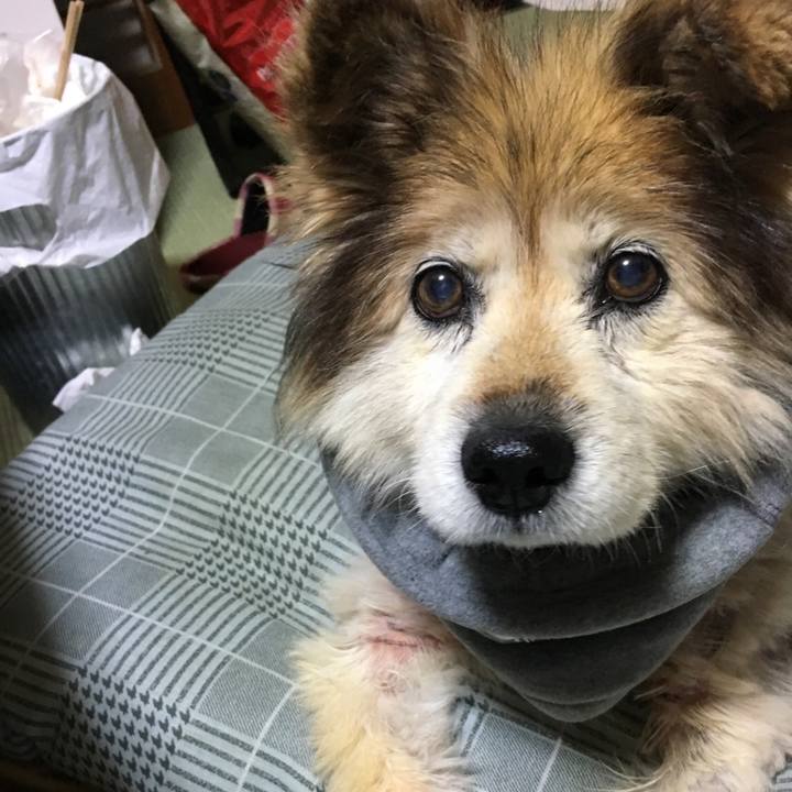 45bde215 6b71 4a49 92a4 8d06994496a3 1562580248083