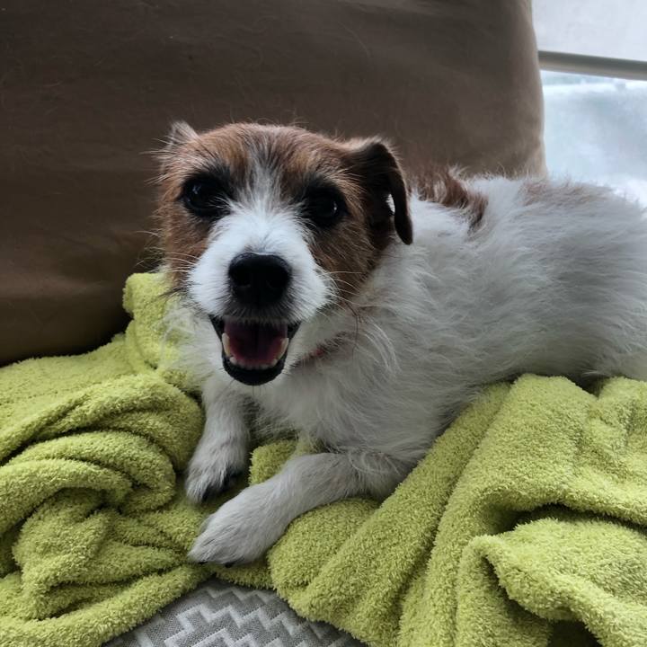 45bdec08 7544 4db0 8675 46042aec0066 1620601781489