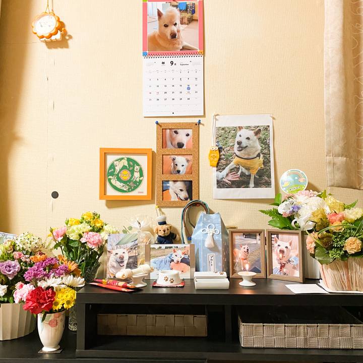 45be2ff7 c760 4654 b574 b57940cf61ff 1664448588280