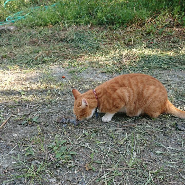 45be30b1 9c45 461f 8393 d05507c3f411 1600671606549