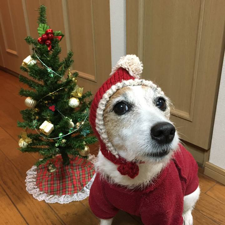 45be655c ce11 4660 937e c38d23dcd39b 1640301940459