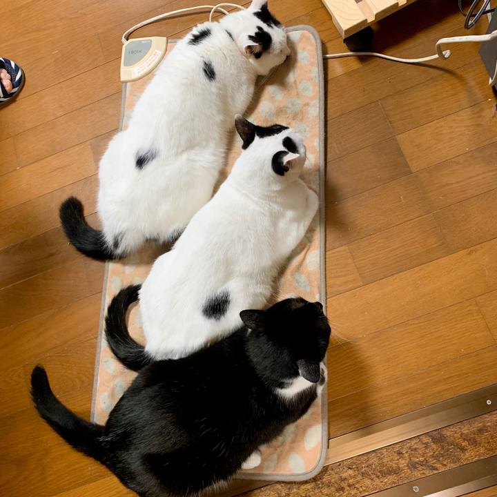 45be890f b475 4959 a8ef eb37d469099a 1602212212405