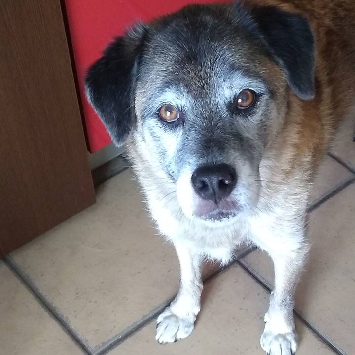 45beaa2f 5881 4759 bcd6 126ade9bd080 1569147932393