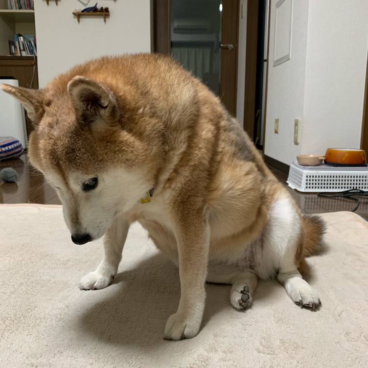 45beb295 c9dc 4a39 b9e3 70e87be5f74f 1568546544805