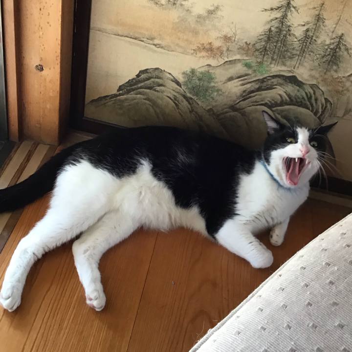 45becf3b fdd9 4302 94b5 1ae8297b0e7a 1754396637028