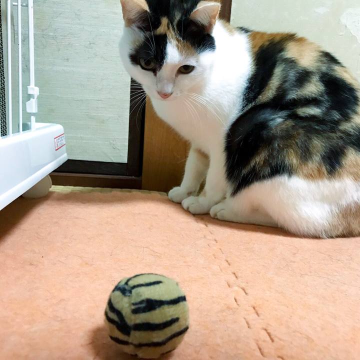 45bed16f 8ef8 458b a562 2667217fdb60 1511441434282