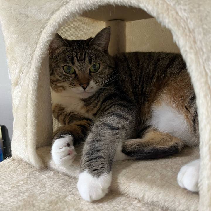 45bf1e4c 3145 430a b01f f55e914d75cb 1738727369022