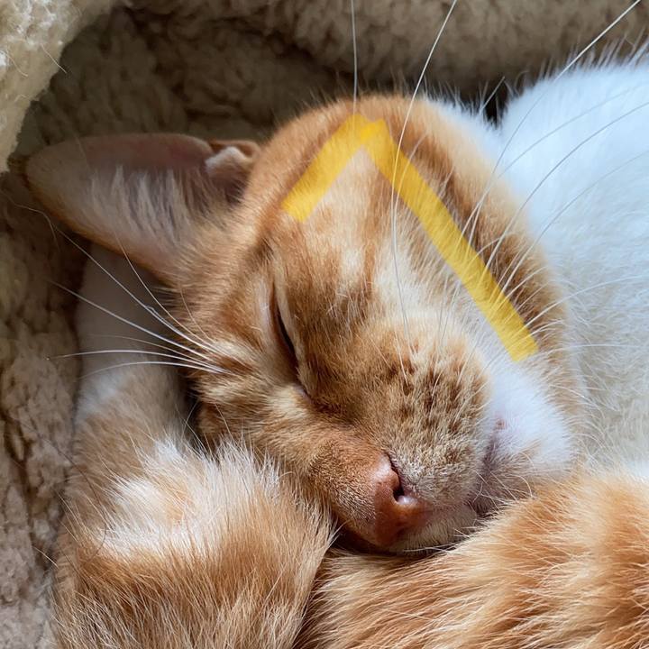 45bf407a 32c4 4f14 bd54 03eeb3113ec4 1686412113919