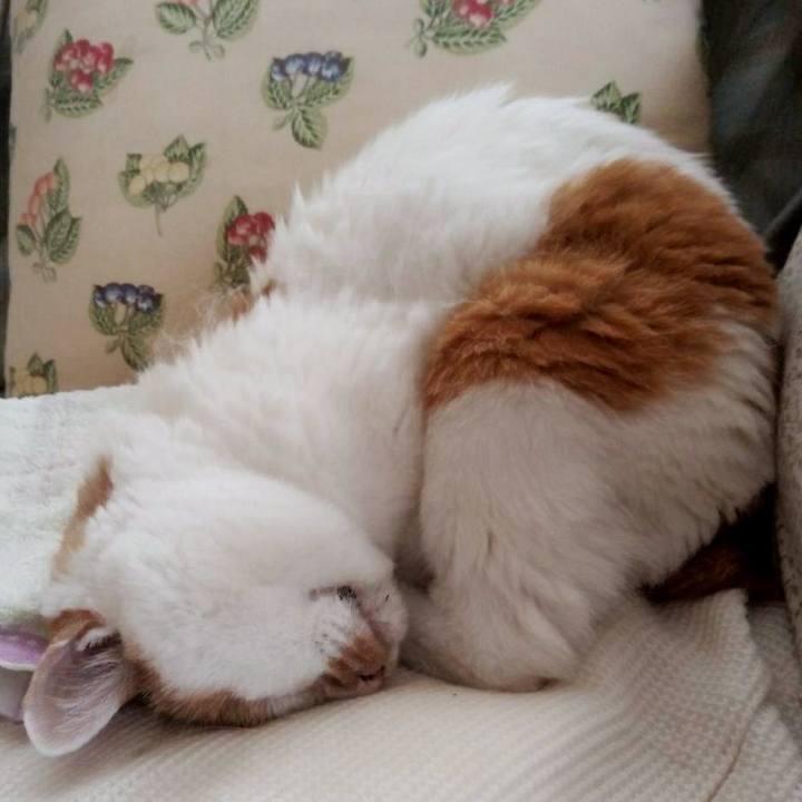 45bf4c56 9572 41c4 b2e6 7a0d917bdef3 1574676595775