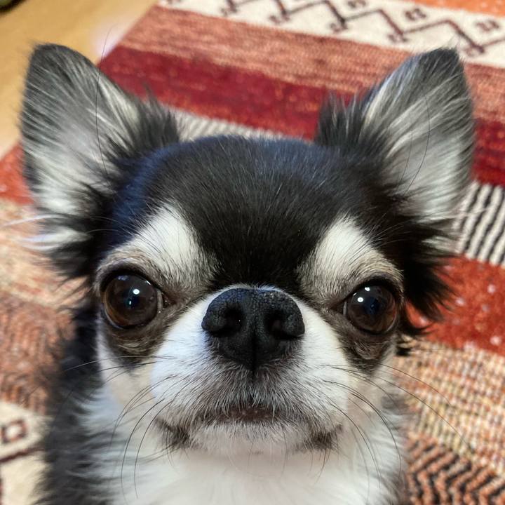 45bf74bc f7e0 470c ba11 daca6a2734c1 1673220478971