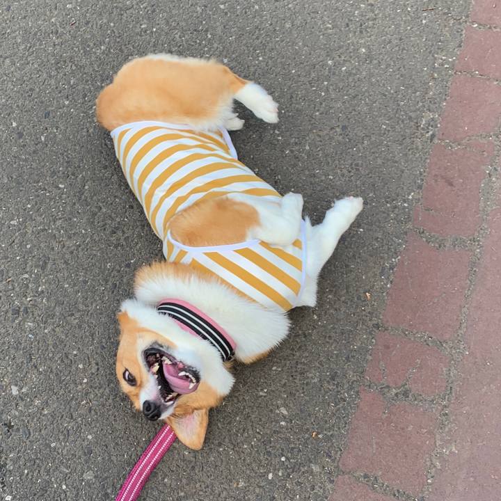 45bfa268 5166 43fd ba68 54bf03334c49 1560007905166