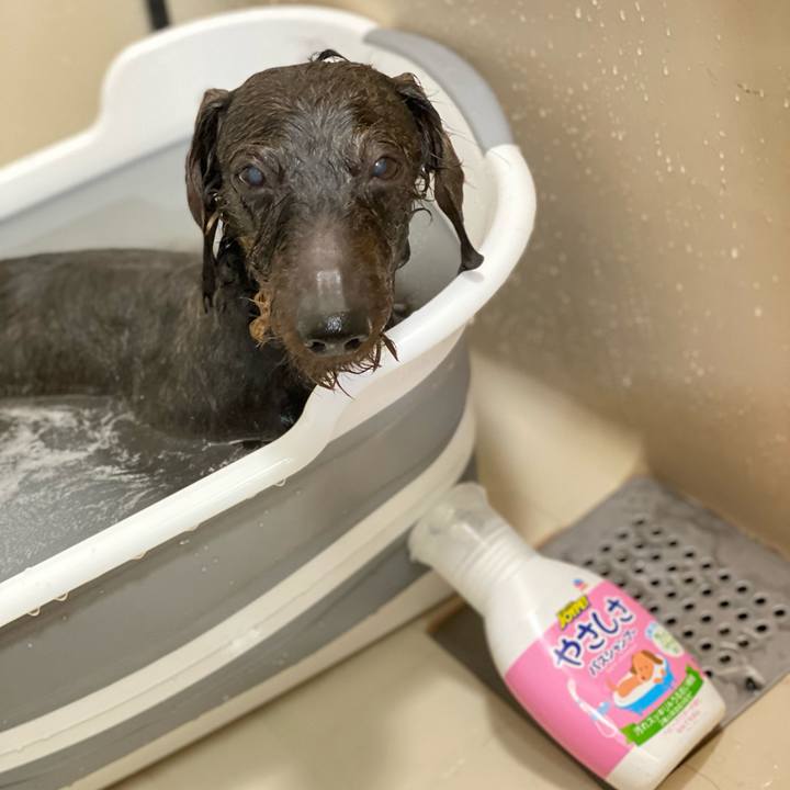 45bfa4ca aca4 4747 92b8 c237ed47f1c5 1613835593879