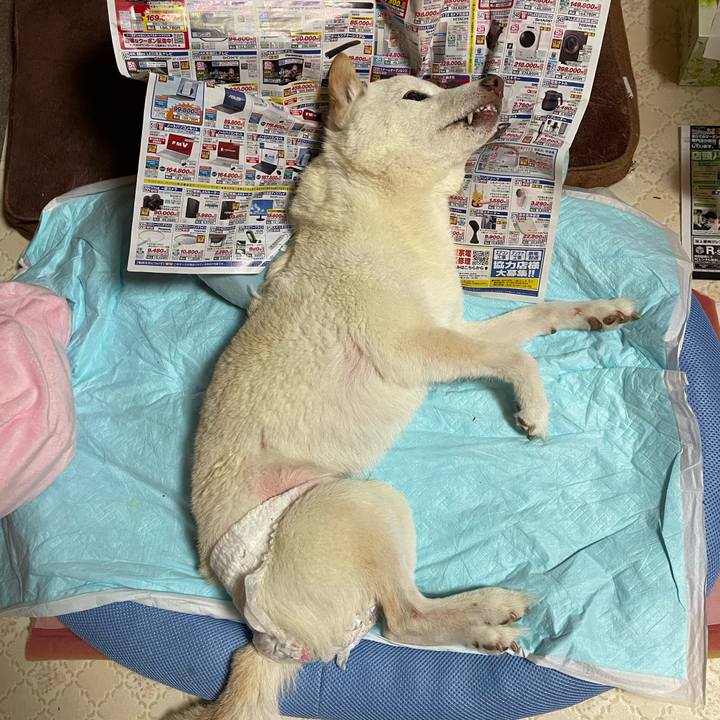 45bfb03f 5e6d 4c2c a195 8620dfd01e5d 1665404076174