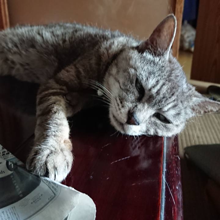 45bfc2ec 71cc 411c aa28 9dbaef35529d 1564814995175