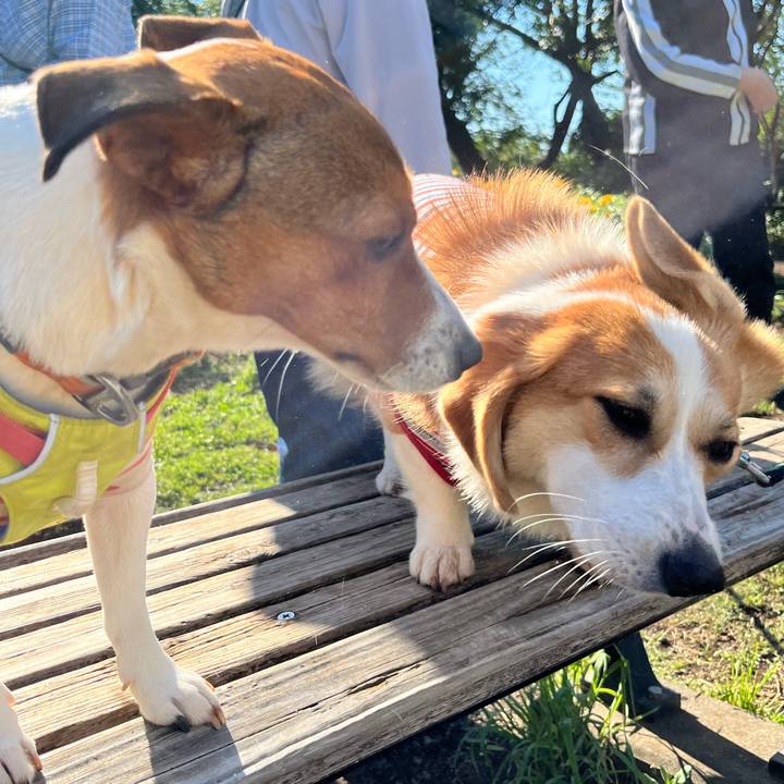 45bfce57 8b55 41f0 8dfe 4f5cbd2aed06 1715300059795