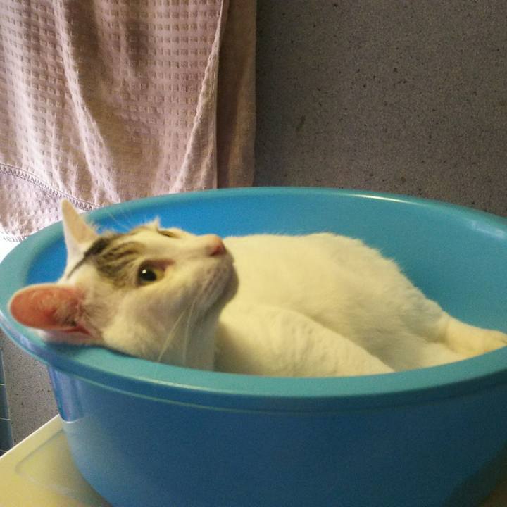 45c00365 f5a1 4c10 a437 aeaae952fc8a 1533468454904