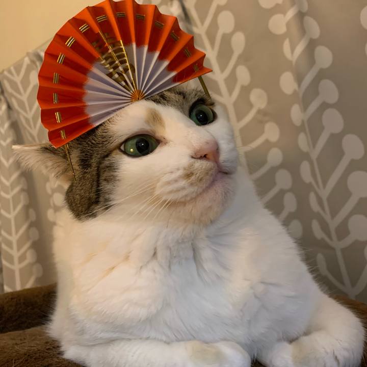 45c02893 aaba 4b9b 85da 871314bba60c 1673089427257