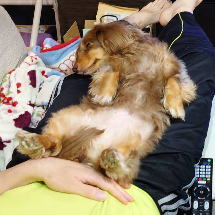 45c02ab8 9705 4705 ad93 dc82a16e743f 1651750528139