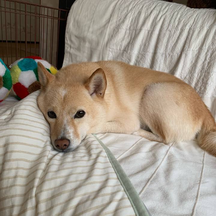 45c038b9 73e1 45c9 b150 5e4936a067b6 1632719393238